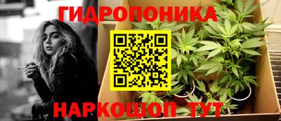 spice Владикавказ